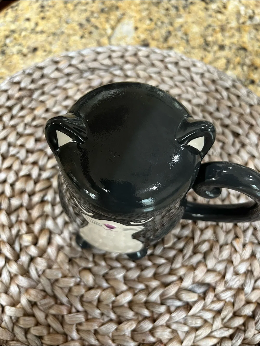 Ceramic Black & White Grumpy Cat Mug with Lid - Cute Pet Design